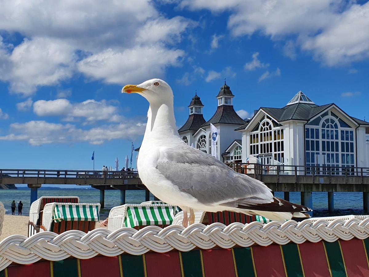 Das Appartement Inselliebe Ruegen Inkl Sauna Und 3H Taeglich Eintritt Ahoi Schwimmbad Sellin  Exterior foto